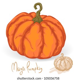 Pumpkin. Vector.