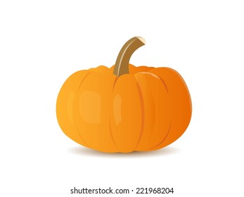 Pumpkin Vector 