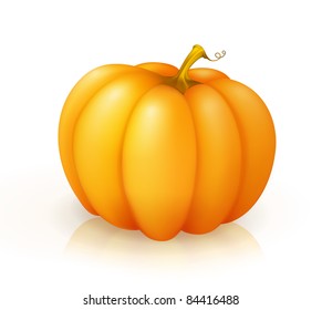 Pumpkin, vector