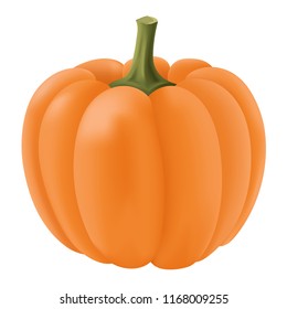 Pumpkin. Vector 3d illustration isolated on white background