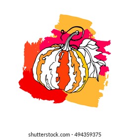 pumpkin vector autumn illustration halloween vegetable food vegetarian orange
