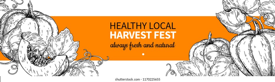 Pumpkin vector banner. Hand drawn vintage Harvest festival frame. Farm Market sketch illustration. Vegetable set of organic products. Detailed food drawing. Great for menu, label, logo, flyer, poster.