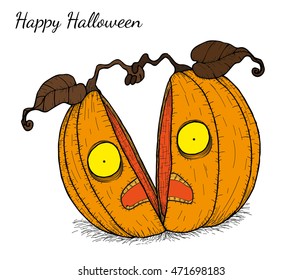 Pumpkin vector by hand drawing.Pumpkin in halloween.