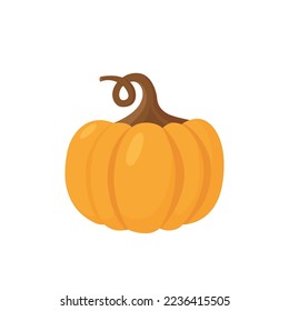 Pumpkin. Vector cartoon flat illustration.