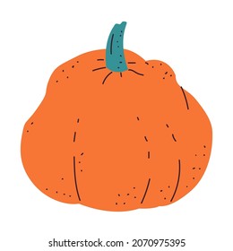 Kürbis-Vektorgrafik-Illustration einzeln auf weißem Hintergrund.
