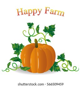 Pumpkin vector clip art