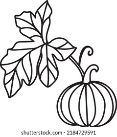 Pumpkin Vector, Clip Art, Black and White