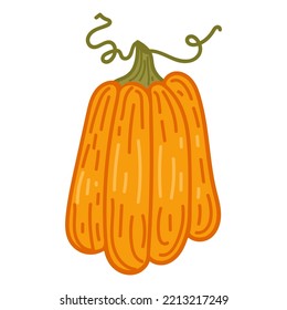 Pumpkin vector clipart. Illustration of autumn pumpkin.