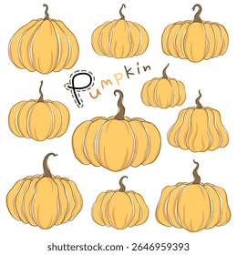 Pumpkin vector collection for design and decoration, can be used for various purposes such as Halloween decoration, stickers, digital print, Halloween party, paper pattern, postcard and more