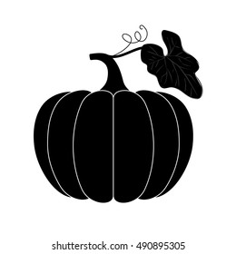 Pumpkin,  vector design