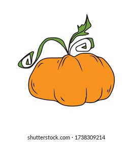 Pumpkin , vector design for banner, poster, greeting card, party invitation.