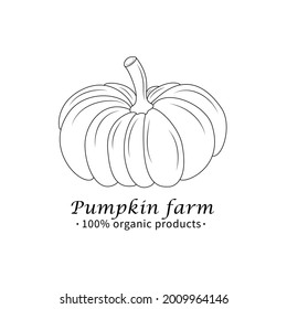 Pumpkin vector drawing. Isolated hand drawn object. Vegetable engraved style illustration. Detailed vegetarian food sketch. Farm market product