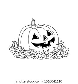 Pumpkin vector drawing. Isolated outline pumpkin halloween. Hand drawn harvest illustration. sketch pumpkin with leaves. Happy Halloween