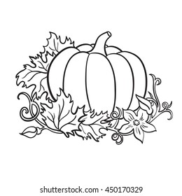 Pumpkin Vector Drawing Isolated Outline Vegetable Stock Vector (Royalty ...