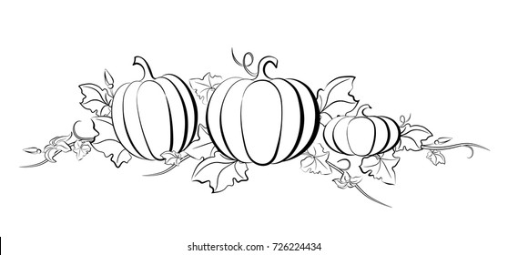 Pumpkin vector drawing set
