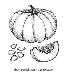 Pumpkin vector drawing set. Isolated hand drawn object with sliced piece and seeds. Vegetable dotty style illustration. Detailed vegetarian food sketch. Farm market product.