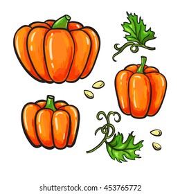 Pumpkin vector drawing set. Isolated hand drawn vegetable, plant, leaves and seeds. Artistic  harvest illustration.