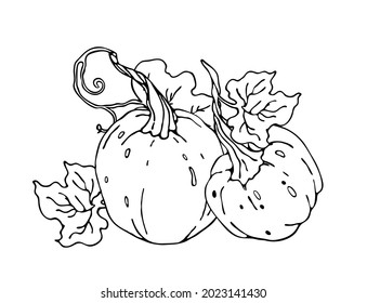 Kürbis-Vektorgrafik. Element für die Herbstdekoration, Halloween, Ernte. Illustration für Karten, Plakate, Aufkleber und saisonales Design.