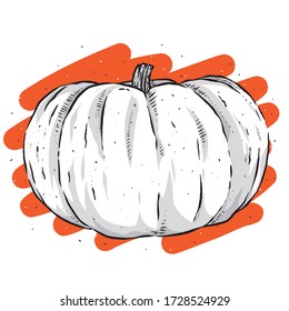 Pumpkin vector. Engraved organic food hand drawn sketch engraving illustration. Pumpkin isolated on colourful background.