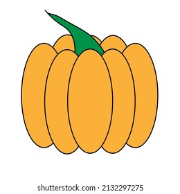 Pumpkin vector, food vector, Vegetables illustration