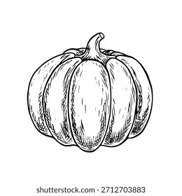 Pumpkin. Vector graphics depicting the autumn season. Black and white hand-drawn illustration. On a white background. Great for stickers, banners, posters and packaging, postcards, labels and prints.