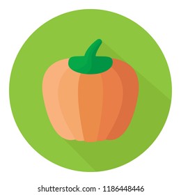 Pumpkin vector icon