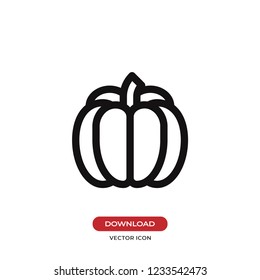 Pumpkin vector icon