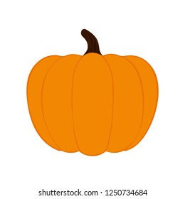 pumpkin vector icon