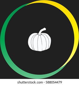 Pumpkin vector  icon