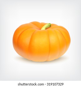 Pumpkin. Vector icon. EPS10 vector