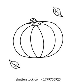Pumpkin vector, icon for halloween design. Doodle vector illustration for printing, greeting cards, posters, stickers, textile and seasonal design. Isolated on white background