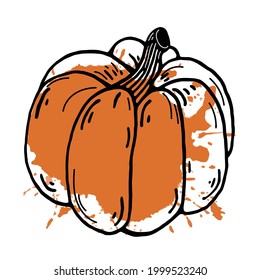 Pumpkin vector icon. Hand drawn vector icon. Black contour of a vegetable with an orange abstract spot. Pumpkin outline. Color drop on line art. Halloween doodle. Food sketch. Isolated on white.