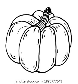 Pumpkin vector icon. Hand-drawn autumn vegetable. Black stroke, doodle. Line art, food sketch. Ink illustration isolated on white. Monochrome, cartoon style. Farm print.