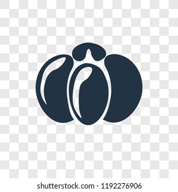 Pumpkin vector icon isolated on transparent background, Pumpkin transparency logo concept