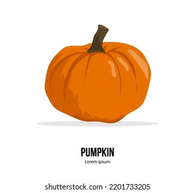 Pumpkin vector icon or print design. Fresh orange juicy squash isolated on the white background