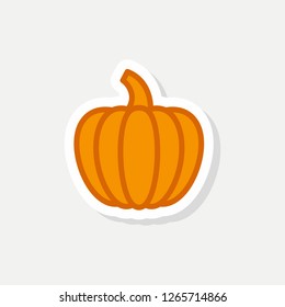 Pumpkin vector  icon. Vegetables sticker. Squash flat illustration/