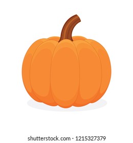 Pumpkin. Pumpkin vector illustration.