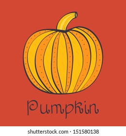 Pumpkin Vector. Vector illustration.