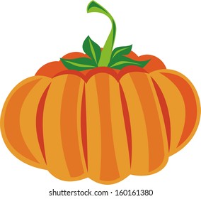 Pumpkin vector illustration
