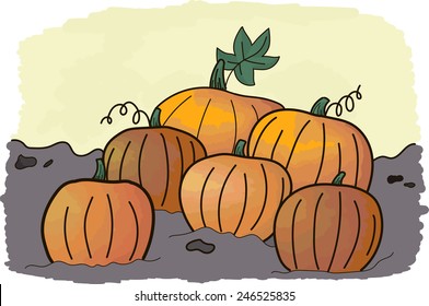 Pumpkin vector illustration
