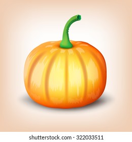 Pumpkin. Vector illustration.