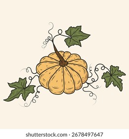 Ilustración vectorial de calabaza | Otoño Halloween Acción de Gracias Clipart