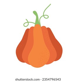 Pumpkin vector illustration. Autumn Halloween or Thanksgiving pumpkin symbol. Flat design. Orange silhouette isolated on white background. Cartoon colorful illustration.