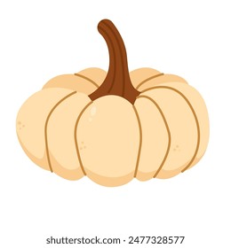 Pumpkin vector illustration, autumn harvest concept, hand drawn pumpkin in flat design style