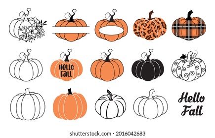 Pumpkin vector  illustration bundle, set of pumpkins, fall autumn pumpkin collection svg