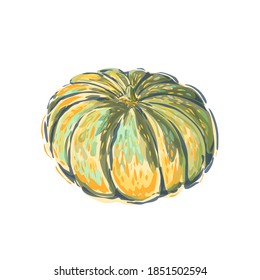 Pumpkin vector illustration. Drawing watercolor style Pumpkin. Autumn symbol. Vegetable isolated on white background.