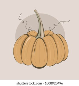 Pumpkin Vector Illustration, Fall Design On A Light Brown Background