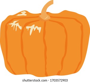 Dibujo vectorial de calabaza, verduras frescas