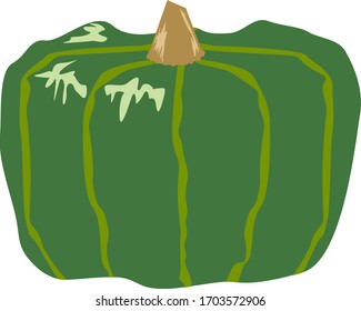 Pumpkin vector illustration, fresh vegetables