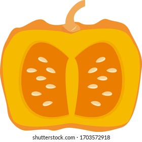 Pumpkin vector illustration, fresh vegetables